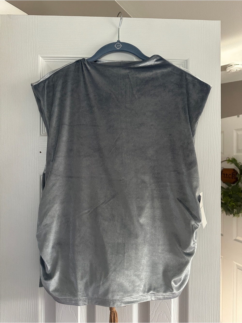 Abercrombie & Fitch Silver Velvet Short Sleeve Top